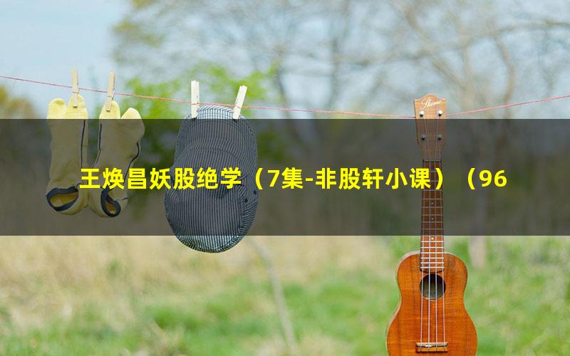 王焕昌妖股绝学(7集-非股轩小课)(960×600视频)