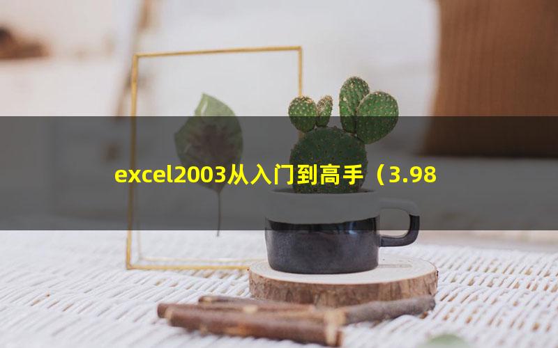 excel2003从入门到高手（3.98G高清视频）