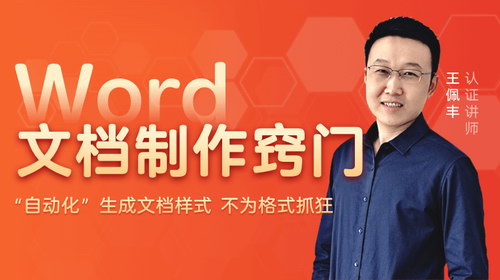 王佩丰《Word文档制作窍门》（完结）（高清视频）