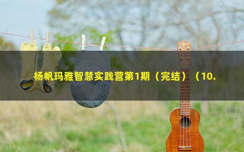 杨帆玛雅智慧实践营第1期(完结)(10.5G高清视频)