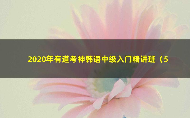 2020年有道考神韩语中级入门精讲班（5.34G超清视频）