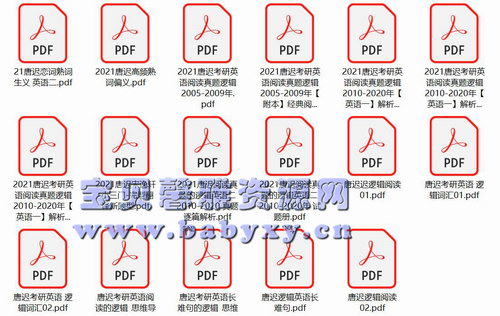 唐迟宋逸轩潘赟考上的逻辑2021考研英语文档（1.48GPDF打包压缩）