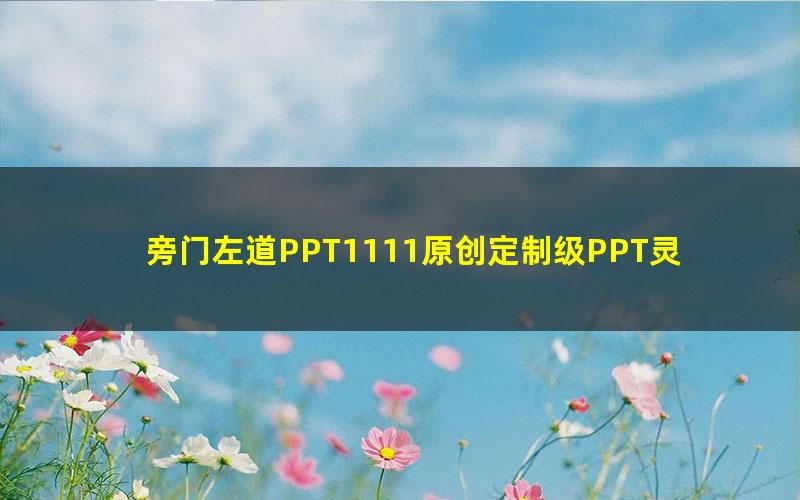 旁门左道PPT1111原创定制级PPT灵感手册(PPT模版)(4.98G)