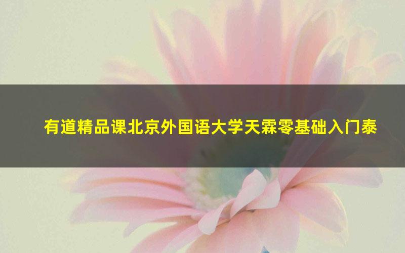 有道精品课北京外国语大学天霖零基础入门泰语课程（3.46G超清视频）