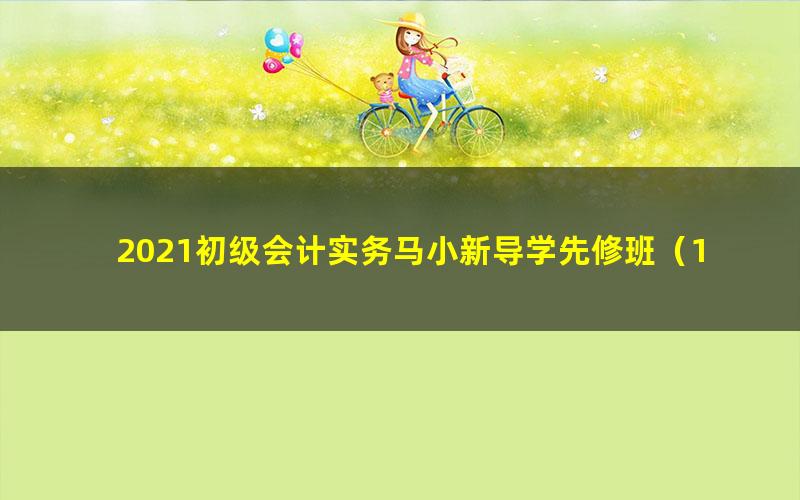 2021初级会计实务马小新导学先修班（12讲全）（3.13G高清视频）