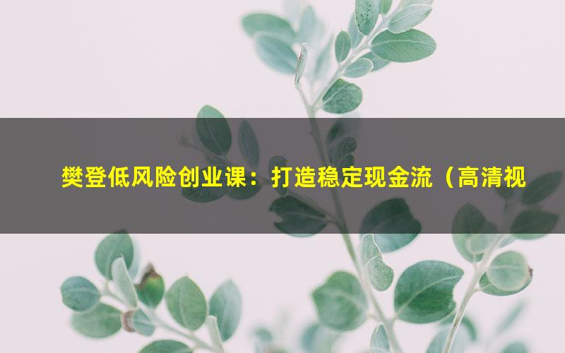 樊登低风险创业课：打造稳定现金流（高清视频）