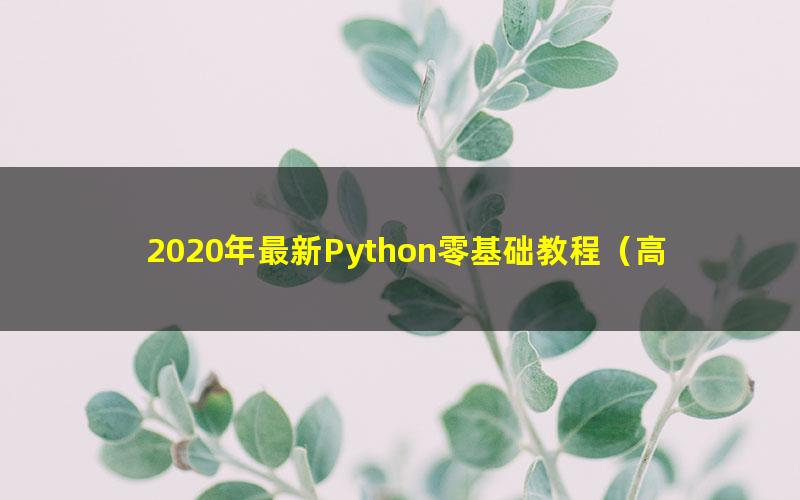 2020年最新Python零基础教程（高清视频）