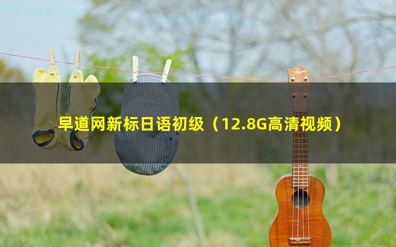 早道网新标日语初级(12.8G高清视频)