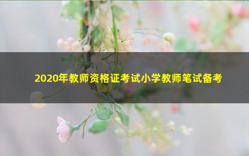 2020年教师资格证考试小学教师笔试备考资料（高清视频）