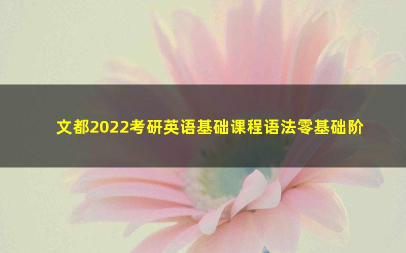 文都2022考研英语基础课程语法零基础阶段总结王泉核心板块回顾（4.96G高清视频）