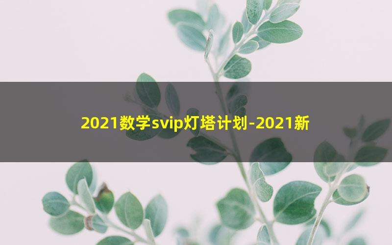 2021数学svip灯塔计划-2021新东方数学全程（25.7G高清视频）