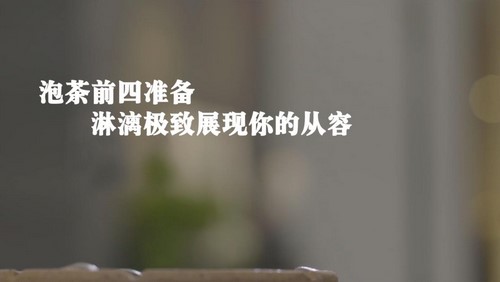 荔枝微课中国茶届女神的11堂茶修跟学课，快速提升你的身姿气韵内涵（710M超清视频）