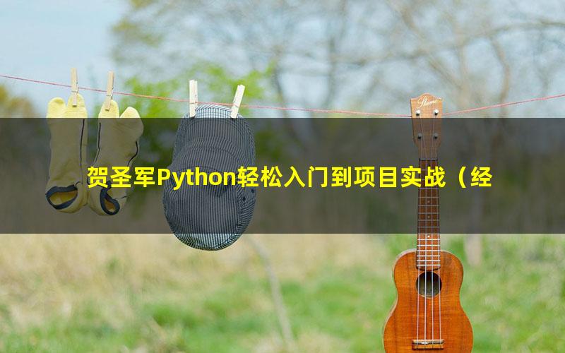 贺圣军Python轻松入门到项目实战（经典完整版）（超清视频）