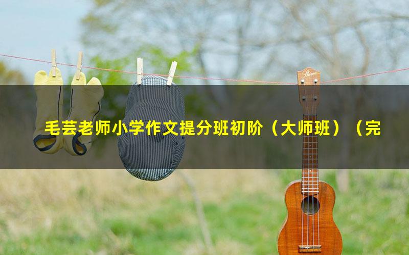 毛芸老师小学作文提分班初阶(大师班)(完结)(6.97G高清视频)