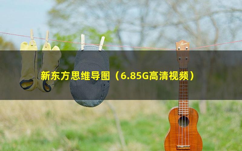 新东方思维导图（6.85G高清视频）