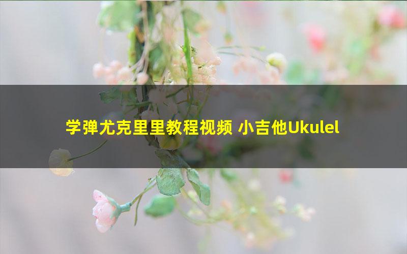 学弹尤克里里教程视频 小吉他Ukulele乌克丽丽 