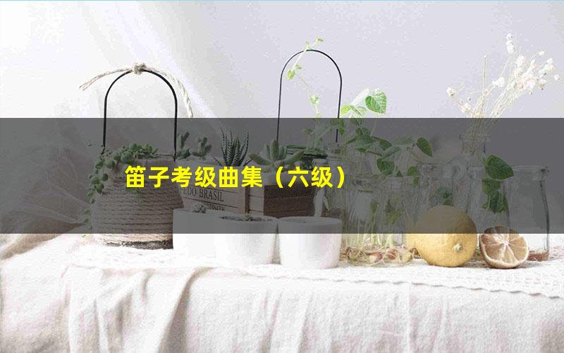 笛子考级曲集(六级)
