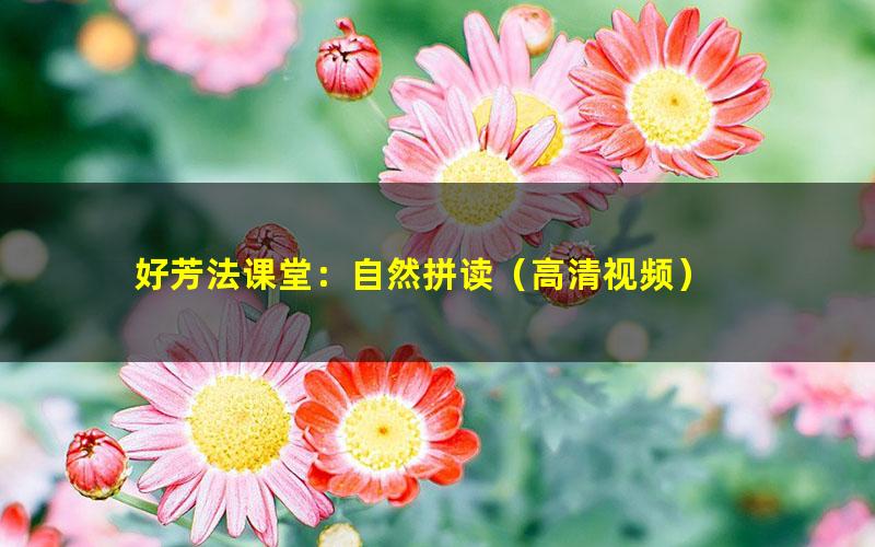 好芳法课堂：自然拼读（高清视频）