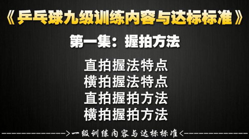 乒乓球业余一级到专业九级训练教学与达标标准（720P超清视频）