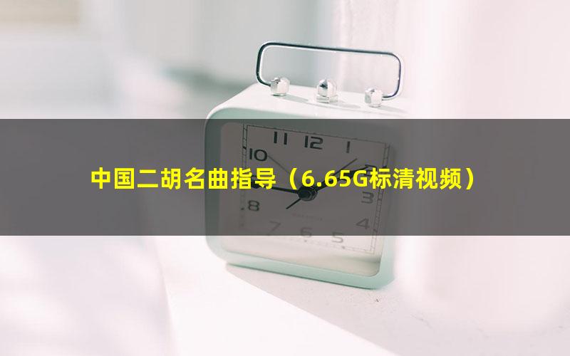 中国二胡名曲指导(6.65G标清视频)