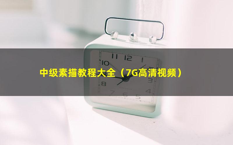 中级素描教程大全（7G高清视频）