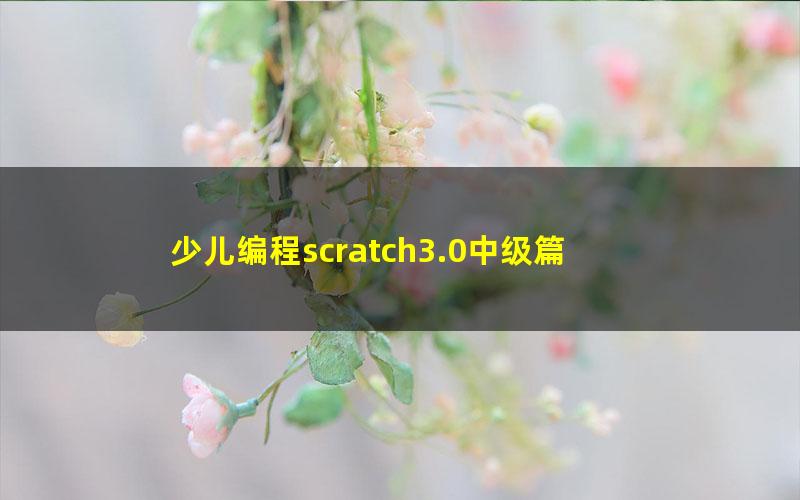 少儿编程scratch3.0中级篇 