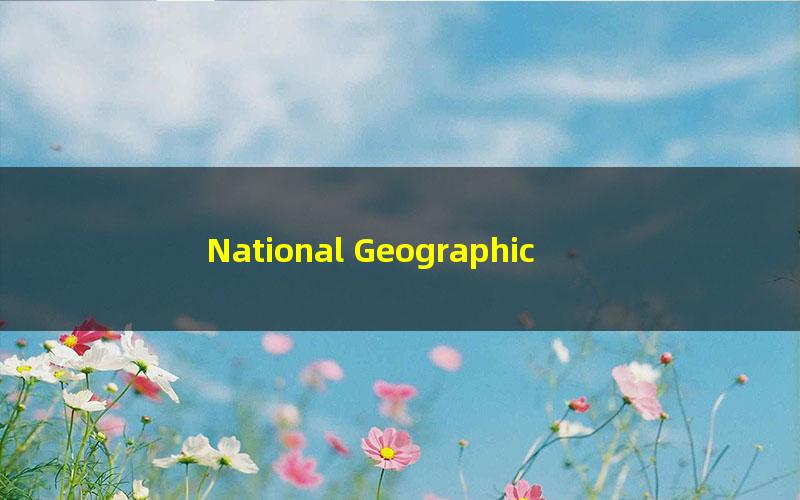 National Geographic Little Kids 2021年1-8月刊美国国家地理幼儿版杂志(37.9M 3-6岁PDF)
