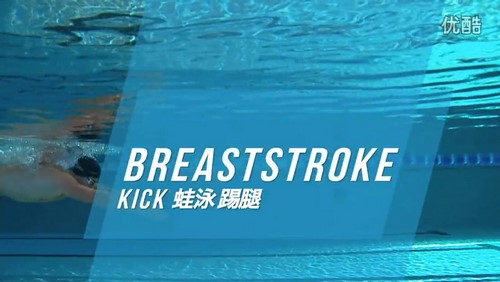 游泳教程:蛙泳、蝶泳、仰泳、自由泳