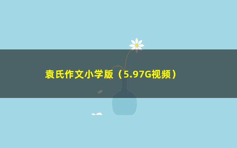 袁氏作文小学版（5.97G视频）