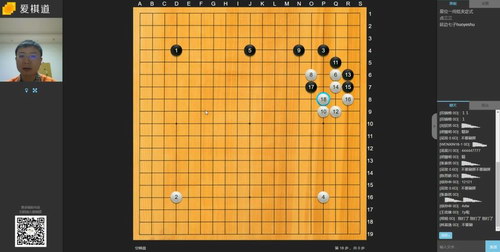 寒假爱棋道(10课高清视频）