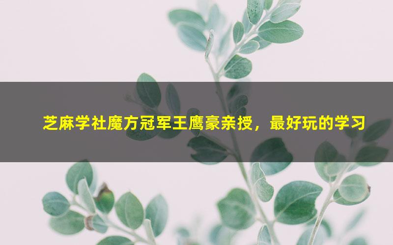 芝麻学社魔方冠军王鹰豪亲授，最好玩的学习力提升（高清完结打包）