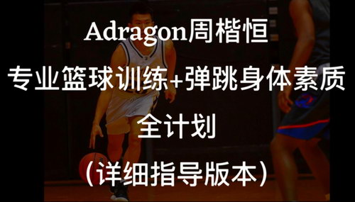 周楷恒Adragon篮球弹跳（超清视频）