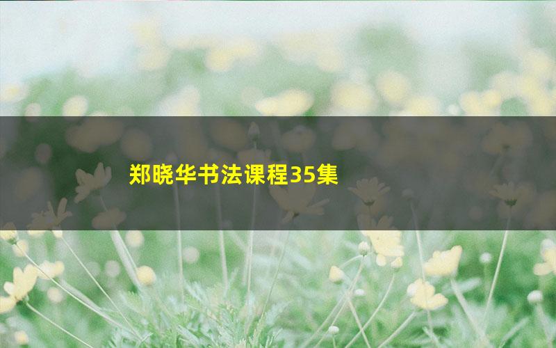 郑晓华书法课程35集