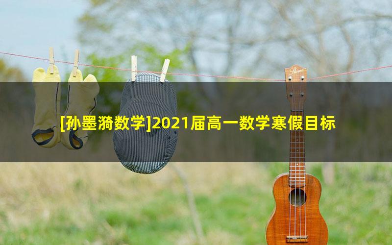 [孙墨漪数学]2021届高一数学寒假目标双一流班(人教必修5+2)