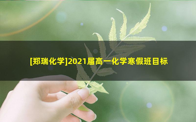 [郑瑞化学]2021届高一化学寒假班目标双一流(新人教)