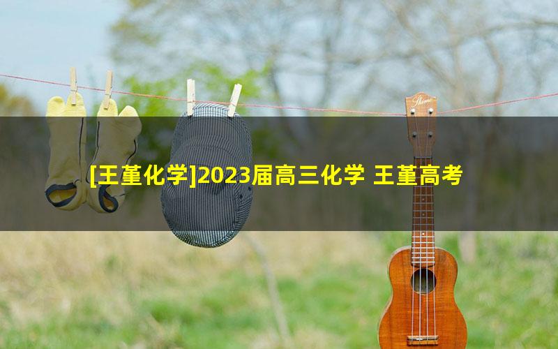 [王堇化学]2023届高三化学 王堇高考化学A班一轮复习-2022年暑假班