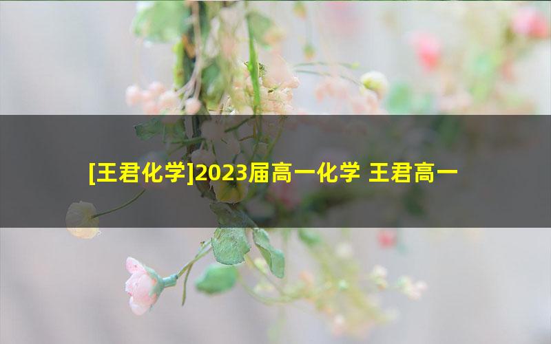 [王君化学]2023届高一化学 王君高一化学系统班-2022年暑假班