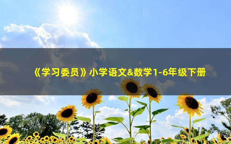 《学习委员》小学语文&数学1-6年级下册试卷(单元、期中、期末测试卷及答案)