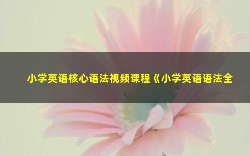 小学英语核心语法视频课程《小学英语语法全突破》全35集