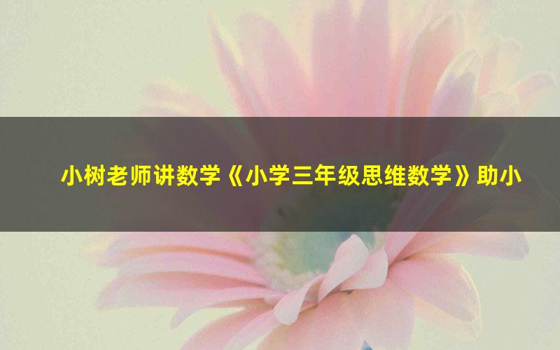 小树老师讲数学《小学三年级思维数学》助小朋友轻松100分