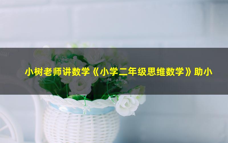 小树老师讲数学《小学二年级思维数学》助小朋友轻松100分