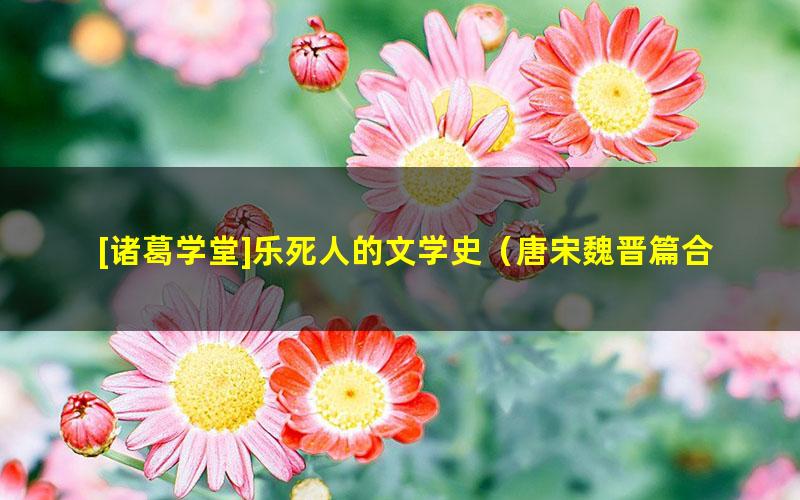 [诸葛学堂]乐死人的文学史（唐宋魏晋篇合集）