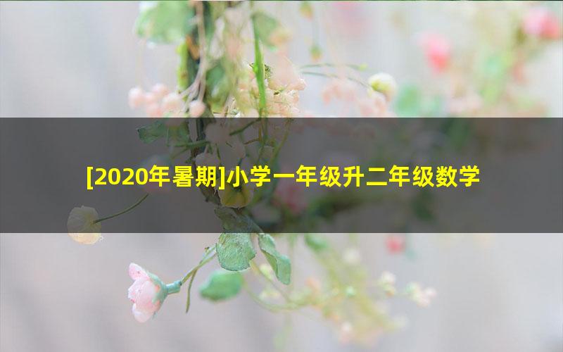 [2020年暑期]小学一年级升二年级数学目标S班暑假课程（王宝金）