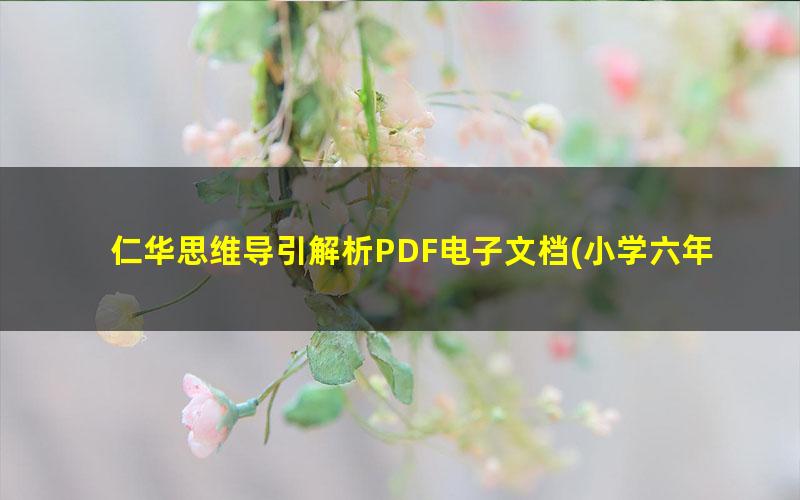 仁华思维导引解析PDF电子文档(小学六年级数学)