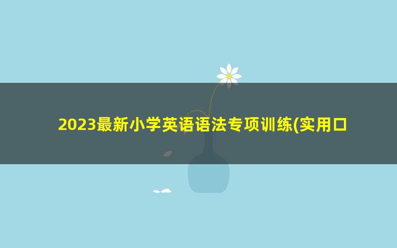 2023最新小学英语语法专项训练(实用口诀+大量习题)适合小升初