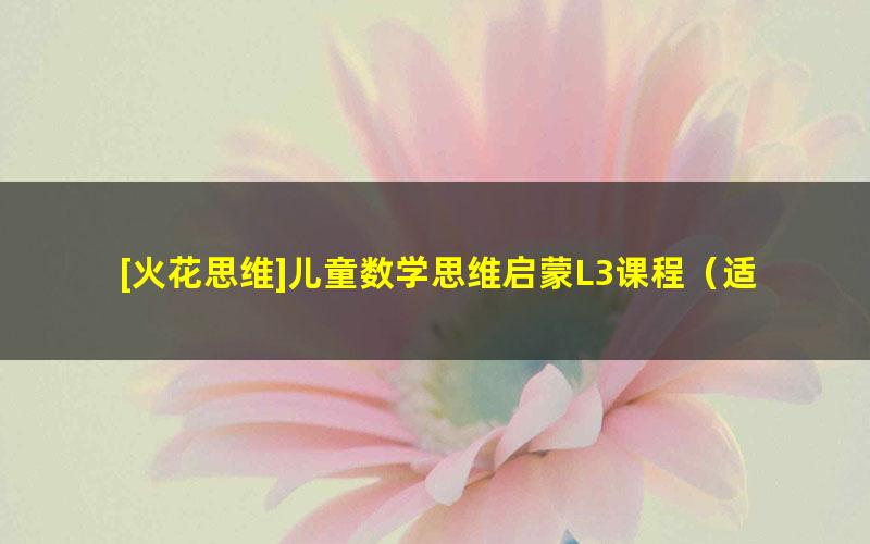 [火花思维]儿童数学思维启蒙L3课程（适合5-7岁儿童）