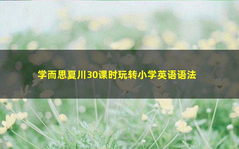 学而思夏川30课时玩转小学英语语法