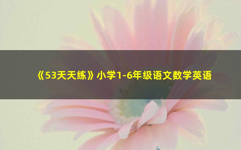 《53天天练》小学1-6年级语文数学英语上下全册,含测评卷、知识清单、答案