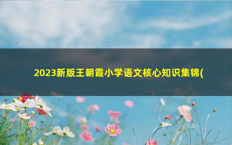 2023新版王朝霞小学语文核心知识集锦(包括小学1-6年级全部知识点)