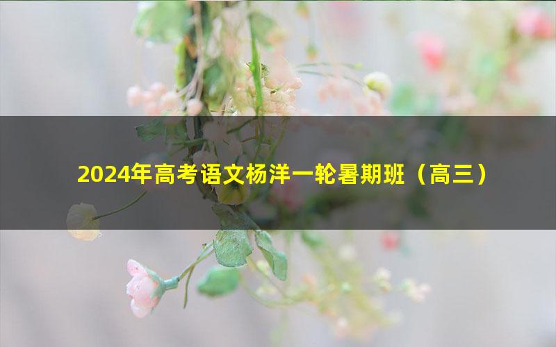 2024年高考语文杨洋一轮暑期班(高三)(11.0G高清视频)